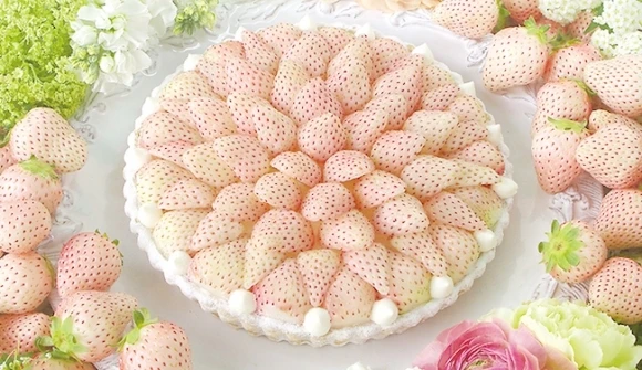 Điều chưa biết về dâu tây giá tiền triệu, khách vẫn đua nhau mua 