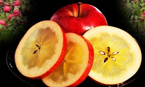 Táo mật Nhật gần triệu đồng/kg hút nhà giàu Việt có gì độc?
