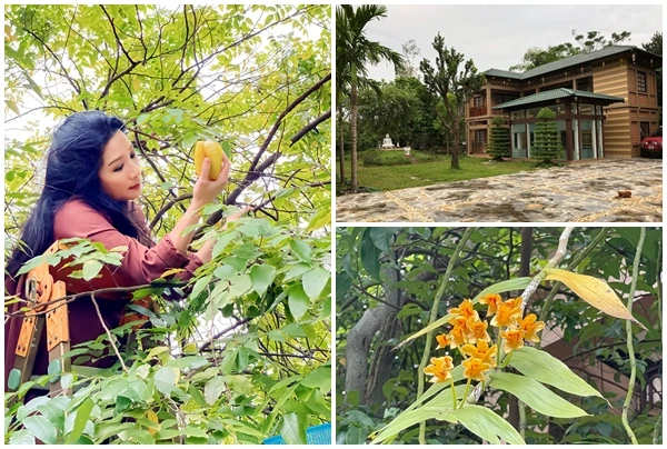 Bên trong nhà vườn “đi mỏi chân” của nghệ sĩ Thanh Thanh Hiền