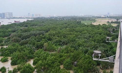 Bên trong dự án treo 14 năm liên quan đến rapper Tiến Đạt