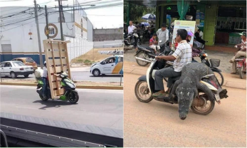 Phát hoảng với những pha “làm xiếc” trên đường của người Việt