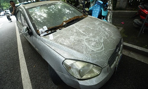Gửi ôtô hơn 600 ngày, chủ xe Hyundai chịu phí 285 triệu