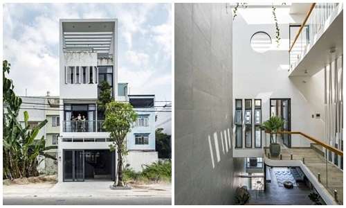 Nhà Sài Gòn kết nối hoàn hảo con người với thiên nhiên