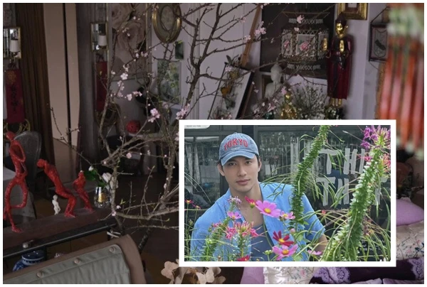 Căn nhà ngập sắc xuân của cháu trai gia tộc giàu bậc nhất VN