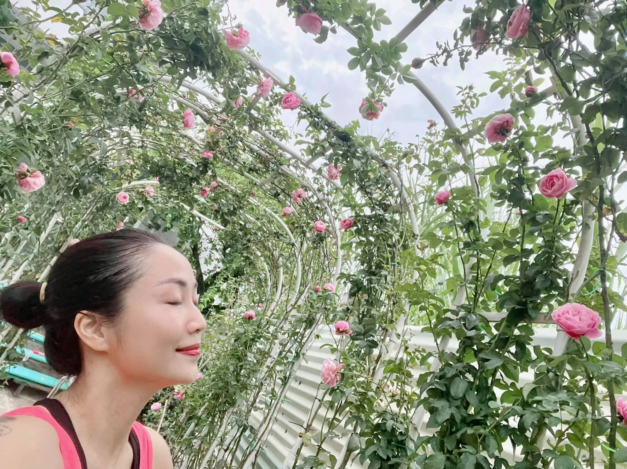 Vườn hồng hoành tráng như rạp đám cưới của Ốc Thanh Vân