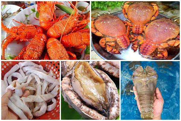 5 loại hải sản “nhà giàu” ở các vùng biển đảo Việt Nam