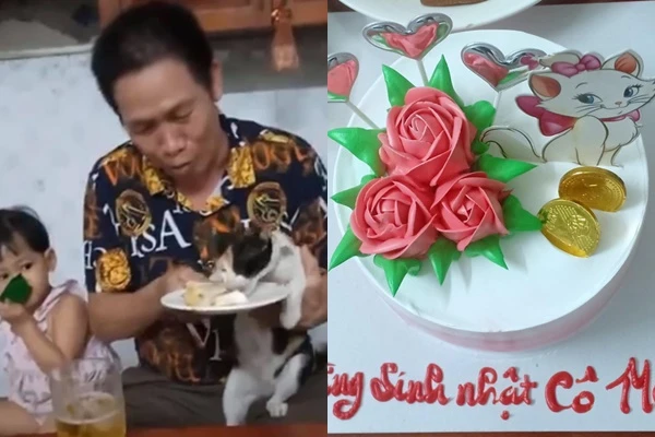 "Cô" mèo số hưởng được tổ chức sinh nhật, "cả thế giới" ghen tỵ