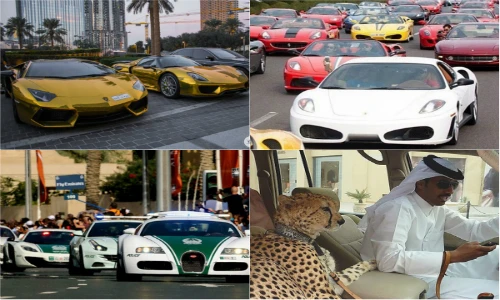 Những chuyện điên rồ cho thấy sự giàu có của Dubai (1)