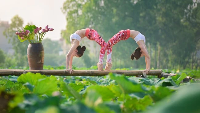 Hot girl U40 khoe đường cong với yoga giữa đầm sen