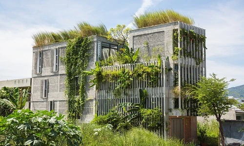 Văn phòng ở Đà Nẵng có gì độc khiến báo ngoại khen nức nở?