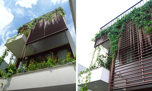 10 mẫu nhà ống kết hợp cây xanh rất đáng tham khảo