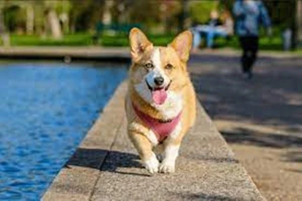 3 dấu hiệu ngôi nhà phát tài viên mãn, 2 điềm báo hung hạn