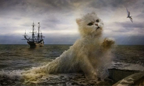 Ngộ nghĩnh loạt ảnh photoshop mèo độc đáo