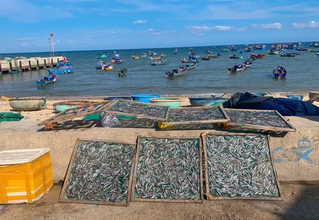 ‘Làng chạy gió’ ven biển có gì hút khách du lịch?