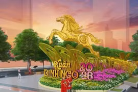 Đường hoa TPHCM Tết Bính Ngọ 2026 lần đầu tổ chức đồng bộ tại ba địa điểm