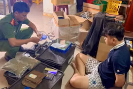 Đà Nẵng khởi tố đối tượng trồng, mua bán cần sa quy mô lớn