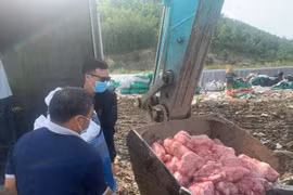 Gia Lai: Tiêu hủy hơn 1 tấn thịt heo và chả ram không rõ nguồn gốc