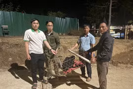 Bàn giao vượn đen má trắng quý hiếm cho Vườn quốc gia Cát Tiên