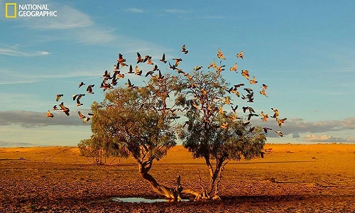 9 bức ảnh tuyệt nhất năm 2014 của National Geographic