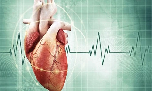 Khám phá khoa học đáng kinh ngạc về trái tim (2)