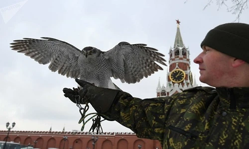 Khám phá "đội cảnh vệ bay" bảo vệ dinh thự Tổng thống Putin