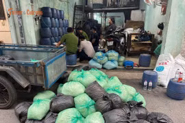 Hơn 1.000 tấn giá đỗ tẩm chất cấm bán khắp chợ, quán ăn ở TP HCM