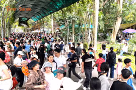 TP HCM: Hàng nghìn người chen chân trong Thảo Cầm Viên lễ 2/9