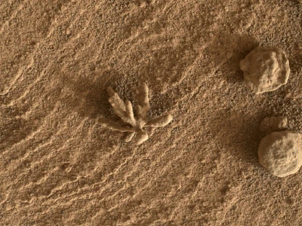 Tàu NASA phát hiện vật lạ trên sao Hỏa, chuyên gia lập tức lý giải