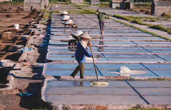 Loại muối cả thế giới cực ưa chuộng: Việt Nam có nhiều!