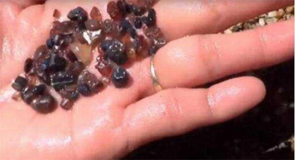 Mổ bụng cá thấy viên đá lạ, bất ngờ phát tài sau một đêm