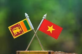 Đưa quan hệ Việt Nam - Sri Lanka phát triển thực chất hơn trong giai đoạn mới