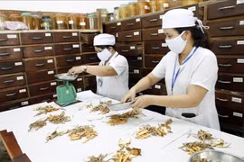 Phê duyệt Chiến lược quốc gia phát triển y học cổ truyền Việt Nam đến 2030