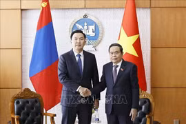 Thúc đẩy quan hệ Đối tác toàn diện Việt Nam - Mông Cổ