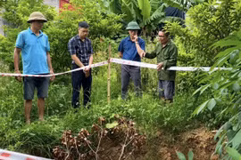 Hiện tượng sụt lún đất bất thường ở Ninh Bình gây lo ngại