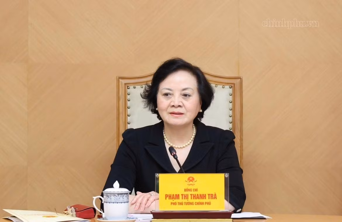 Phó Thủ tướng Phạm Thị Thanh Trà phát biểu tại buổi làm việc. (Ảnh: chinhphu.vn/Thu Giang)