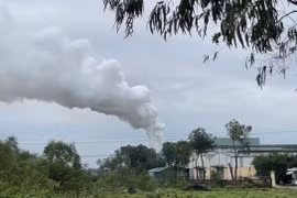[VIDEO] Quảng Ngãi: Nhà máy viên nén sinh khối phủ bụi đen khu dân cư
