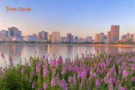 [GALLERY] Tránh đông ở hồ Gươm, bạn trẻ săn thảm hoa violet ở địa điểm mới