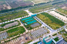 Đất nền có trở lại “kênh đầu tư vua” trong năm 2026?