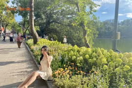 [GALLERY] Giới trẻ đổ về hồ Gươm bắt trọn khoảnh khắc thu bên dải cẩm tú cầu