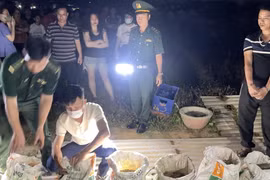 [VIDEO] Quảng Ngãi phát hiện 377kg thuốc nổ giấu quanh quán ăn