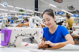 Dệt may TNG bị xử lý về thuế 369,4 triệu đồng 