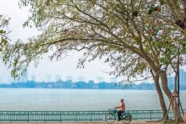Thời tiết 8/5/2026: Miền Bắc mát mẻ, miền Nam nắng nóng