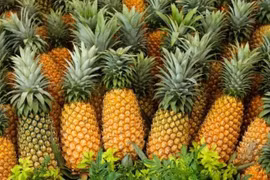[VIDEO] Dứa hỗ trợ tăng chức năng thận nhờ bromelain
