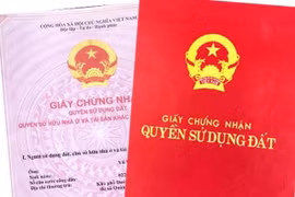 Sai tên người sử dụng đất, người dân có thể đính chính sổ đỏ online