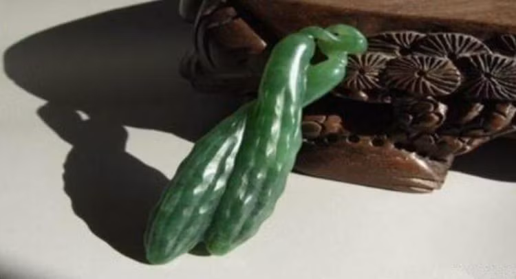 Lên núi đào được dưa chuột đá, nhỏ như ngón tay giá tiền tỷ ảnh 1