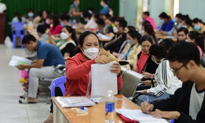 [VIDEO] TP.HCM: Lao động trung niên tìm việc nhiều, doanh nghiệp chỉ tuyển 0,32%