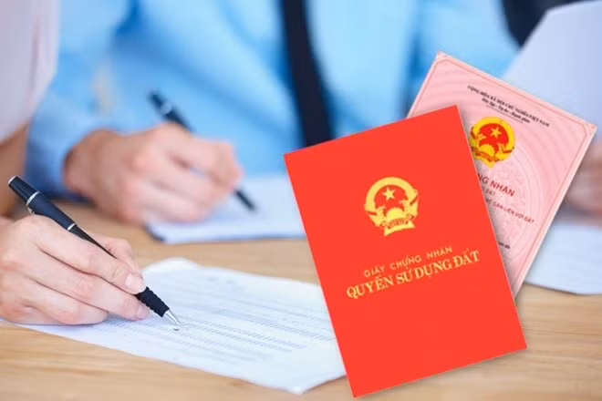 so-do-nhu-ha.jpg