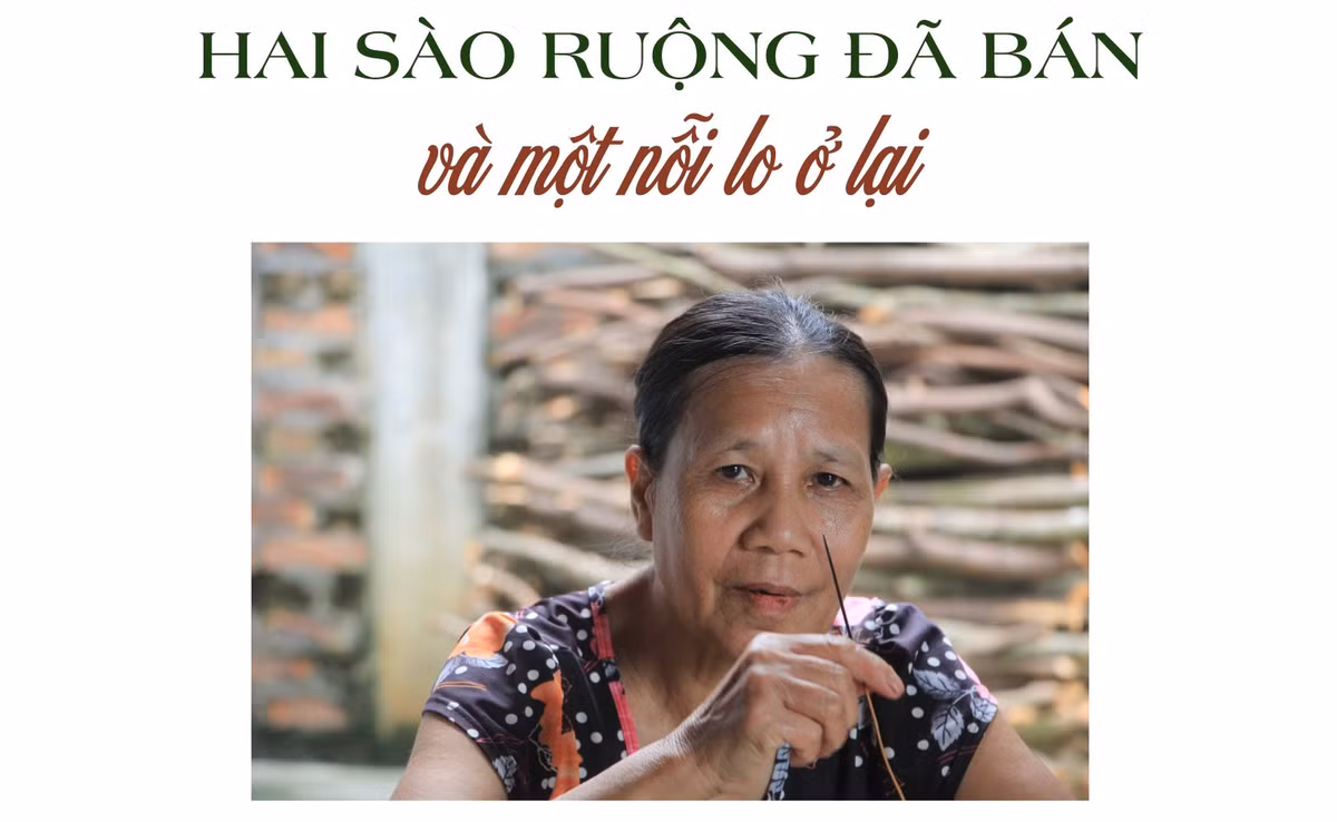 nghi-quyet-11-ky-2-04.jpg