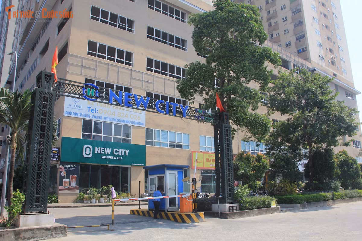 Điều tra ban đầu xác định, Hào và Trang đã chỉ đạo nhân viên kinh doanh thu tiền chênh lệch ngoài hợp đồng mua, thuê mua nhà ở xã hội của khách hàng tại tòa A3, dự án nhà ở xã hội và thương mại AZ Thăng Long (dự án New City) tại thôn Lai Xá, xã Hoài Đức, TP Hà Nội.