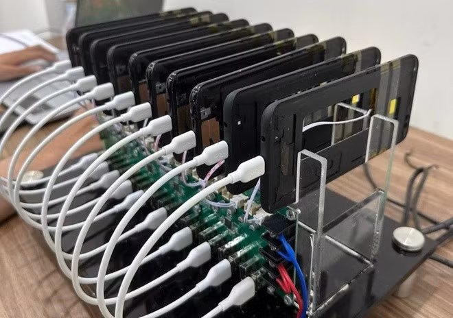 316170510-874518280642637-7348126874569172360-n-1-4220.jpg